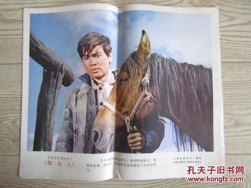 作假东京齿科大学毕业证